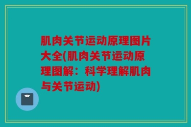 肌肉关节运动原理图片大全(肌肉关节运动原理图解：科学理解肌肉与关节运动)
