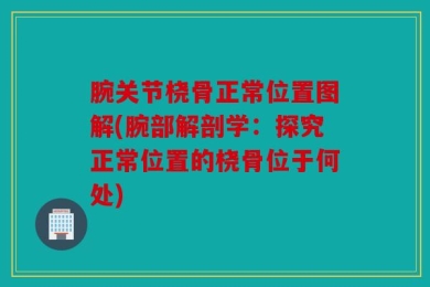 腕关节桡骨正常位置图解(腕部解剖学：探究正常位置的桡骨位于何处)
