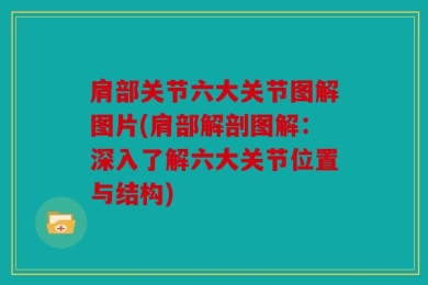 肩部关节六大关节图解图片(肩部解剖图解：深入了解六大关节位置与结构)