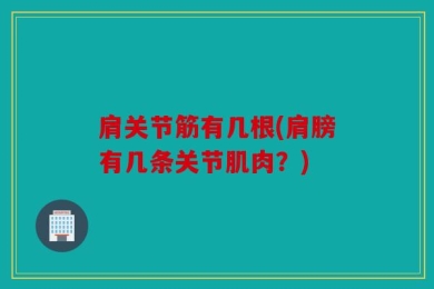 肩关节筋有几根(肩膀有几条关节肌肉？)