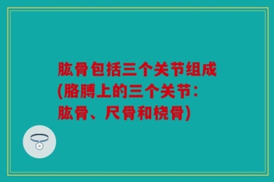 肱骨包括三个关节组成(胳膊上的三个关节：肱骨、尺骨和桡骨)