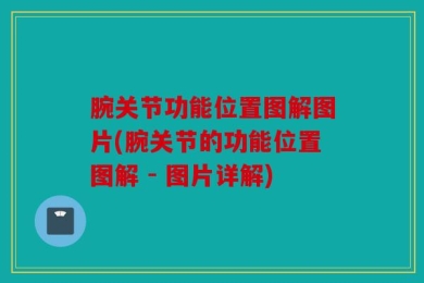 腕关节功能位置图解图片(腕关节的功能位置图解 - 图片详解)