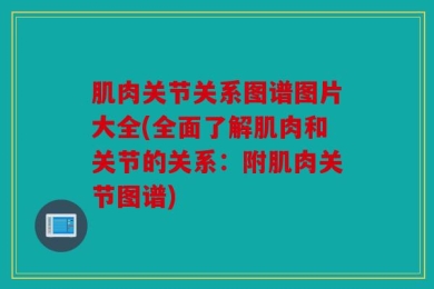 肌肉关节关系图谱图片大全(全面了解肌肉和关节的关系：附肌肉关节图谱)