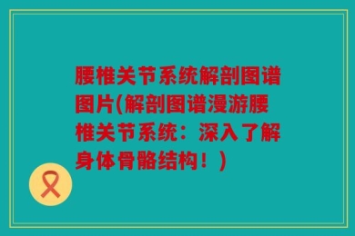 腰椎关节系统解剖图谱图片(解剖图谱漫游腰椎关节系统：深入了解身体骨骼结构！)