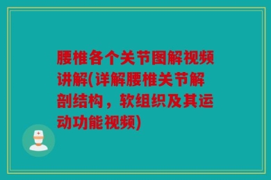 腰椎各个关节图解视频讲解(详解腰椎关节解剖结构，软组织及其运动功能视频)