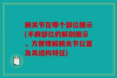 腕关节在哪个部位图示(手腕部位的解剖图示，方便理解腕关节位置及其结构特征)