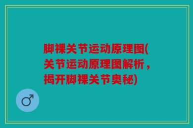 脚裸关节运动原理图(关节运动原理图解析，揭开脚裸关节奥秘)