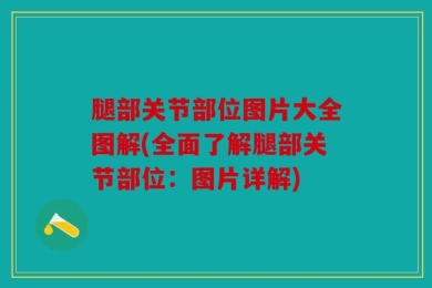 腿部关节部位图片大全图解(全面了解腿部关节部位：图片详解)
