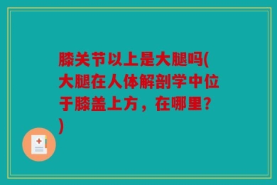 膝关节以上是大腿吗(大腿在人体解剖学中位于膝盖上方，在哪里？)
