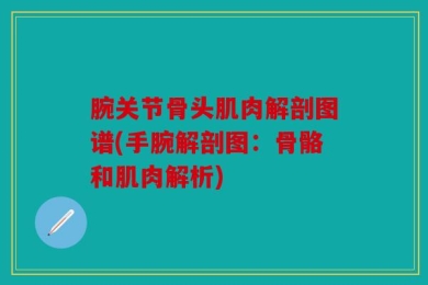 腕关节骨头肌肉解剖图谱(手腕解剖图：骨骼和肌肉解析)