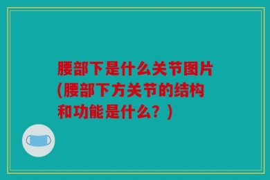 腰部下是什么关节图片(腰部下方关节的结构和功能是什么？)