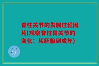 脊柱关节的发展过程图片(观察脊柱骨关节的变化：从胚胎到成年)