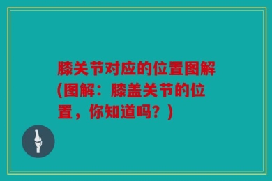 膝关节对应的位置图解(图解：膝盖关节的位置，你知道吗？)