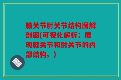 膝关节肘关节结构图解剖图(可视化解析：展现膝关节和肘关节的内部结构。)