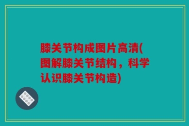 膝关节构成图片高清(图解膝关节结构，科学认识膝关节构造)