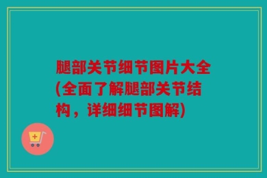 腿部关节细节图片大全(全面了解腿部关节结构，详细细节图解)