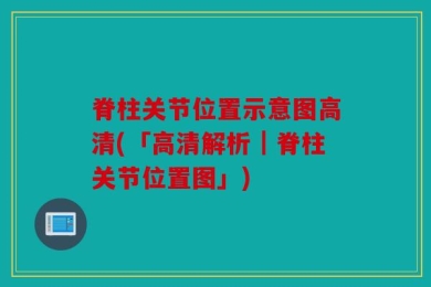 脊柱关节位置示意图高清(「高清解析｜脊柱关节位置图」)