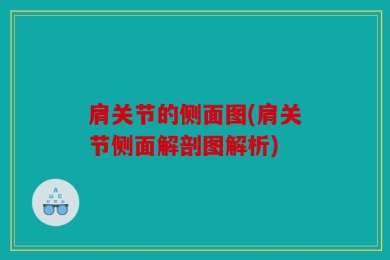 肩关节的侧面图(肩关节侧面解剖图解析)
