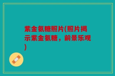 紫金氨糖照片(照片揭示紫金氨糖，前景乐观)