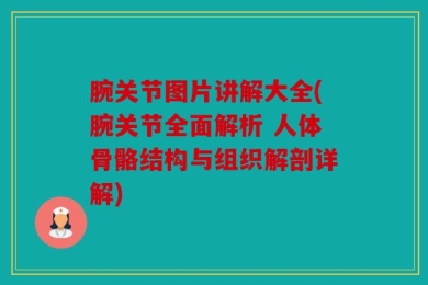 腕关节图片讲解大全(腕关节全面解析 人体骨骼结构与组织解剖详解)