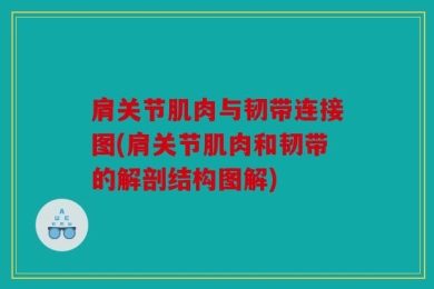 肩关节肌肉与韧带连接图(肩关节肌肉和韧带的解剖结构图解)