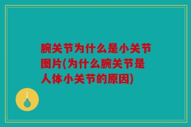 腕关节为什么是小关节图片(为什么腕关节是人体小关节的原因)