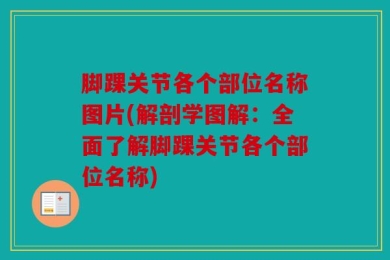 脚踝关节各个部位名称图片(解剖学图解：全面了解脚踝关节各个部位名称)