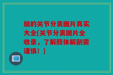 腿的关节分离图片真实大全(关节分离图片全收录，了解肢体解剖需谨慎！)