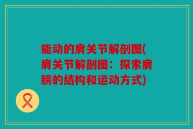 能动的肩关节解剖图(肩关节解剖图：探索肩膀的结构和运动方式)