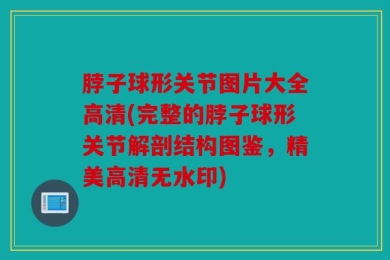 脖子球形关节图片大全高清(完整的脖子球形关节解剖结构图鉴，精美高清无水印)