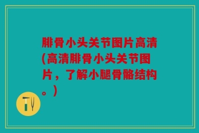 腓骨小头关节图片高清(高清腓骨小头关节图片，了解小腿骨骼结构。)