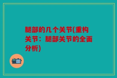腿部的几个关节(重构关节：腿部关节的全面分析)