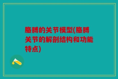 胳膊的关节模型(胳膊关节的解剖结构和功能特点)