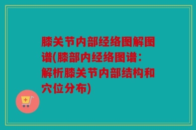 膝关节内部经络图解图谱(膝部内经络图谱：解析膝关节内部结构和穴位分布)