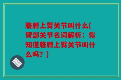 胳膊上臂关节叫什么(臂部关节名词解析：你知道胳膊上臂关节叫什么吗？)
