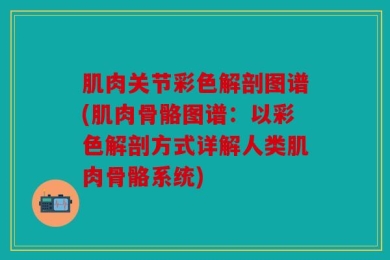 肌肉关节彩色解剖图谱(肌肉骨骼图谱：以彩色解剖方式详解人类肌肉骨骼系统)