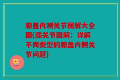 膝盖内测关节图解大全图(膝关节图解：详解不同类型的膝盖内侧关节问题)