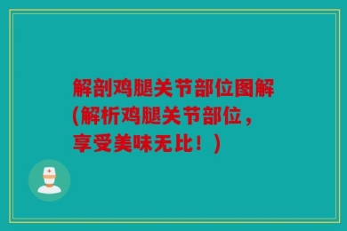 解剖鸡腿关节部位图解(解析鸡腿关节部位，享受美味无比！)
