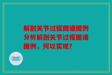 解剖关节过程图谱图例分析解剖关节过程图谱图例，何以实现？