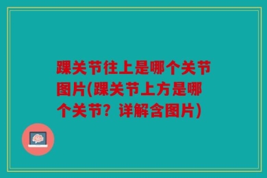 踝关节往上是哪个关节图片(踝关节上方是哪个关节？详解含图片)