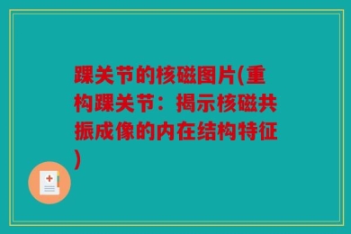 踝关节的核磁图片(重构踝关节：揭示核磁共振成像的内在结构特征)