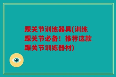 踝关节训练器具(训练踝关节必备！推荐这款踝关节训练器材)