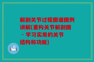 解剖关节过程图谱图例讲解(重构关节解剖图 - 学习实用的关节结构和功能)