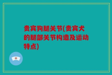 贵宾狗腿关节(贵宾犬的腿部关节构造及运动特点)