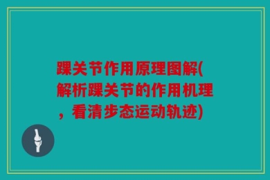 踝关节作用原理图解(解析踝关节的作用机理，看清步态运动轨迹)