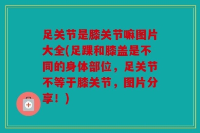足关节是膝关节嘛图片大全(足踝和膝盖是不同的身体部位，足关节不等于膝关节，图片分享！)