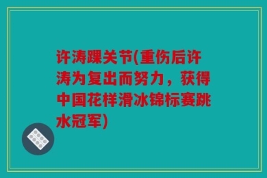 许涛踝关节(重伤后许涛为复出而努力，获得中国花样滑冰锦标赛跳水冠军)