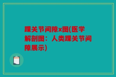 踝关节间隙x图(医学解剖图：人类踝关节间隙展示)