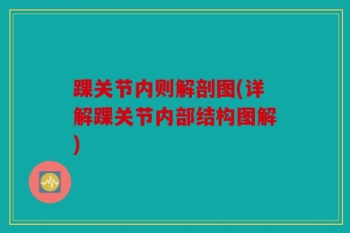 踝关节内则解剖图(详解踝关节内部结构图解)