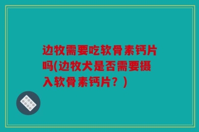 边牧需要吃软骨素钙片吗(边牧犬是否需要摄入软骨素钙片？)